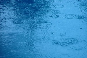 Rain Ripples